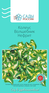 Колеус Волшебник Нефрит 15шт