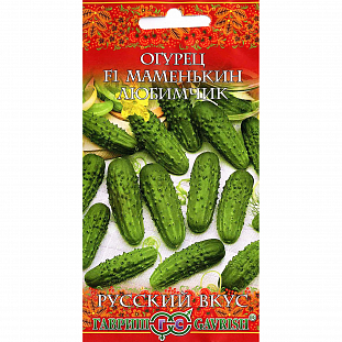 Семена Огурец Маменькин любимчик F1
