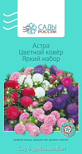 Семена Астра Цветной ковёр Яркий набор