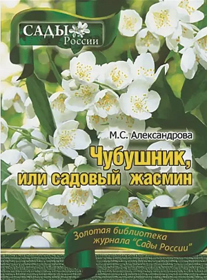 Александрова М.С. "Чубушник или садовый жасмин"