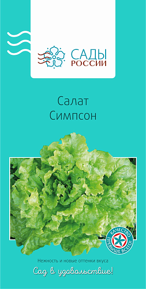 Салат листовой Симпсон