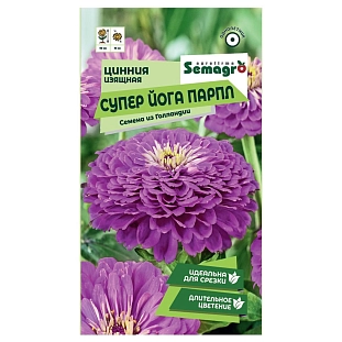 Цинния изящная Супер Йога Парпл
