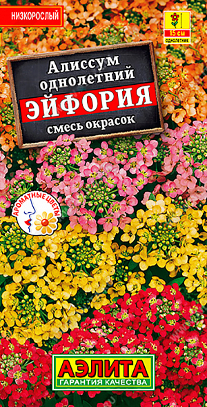 Семена Алиссум Эйфория смесь окрасок.
Неприхотливый низкорослый сорт с сильным медовым ароматом. Прекрасный медонос, привлекает в сад пчелопылителей. Образует компактные, сильноветвистые кустики высотой 15-20 см, цветущие с мая по октябрь. Цветки мелкие, собраны в многочисленные кистевидные соцветия так, что цветущие растения похожи на облачка. Не требовательный к почвам, холодостойкий, предпочитает солнечное местоположение. Идеально подходит для окантовки клумб и рабаток, используется в бордюрах и на каменистых горках. 
Агротехника. Посев семян в открытый грунт весной, как только позволит почва. Для продления сезона декоративности отцветшие побеги обрезают или проводят повторные посевы 2-3 раза за сезон. Для раннего цветения посев на рассаду в марте, высадка рассады в конце апреля – начале мая. Растениям необходимы регулярные поливы, прополки, рыхления и подкормки.