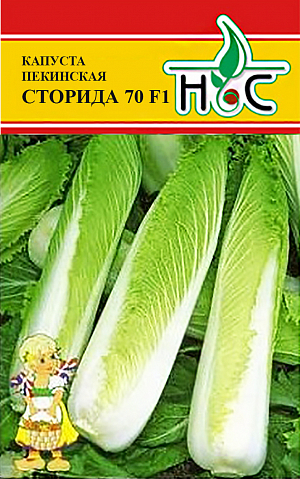 Семена Капуста пекинская Сторида 70 F1