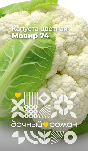 Семена Капуста цветная Мовир 74