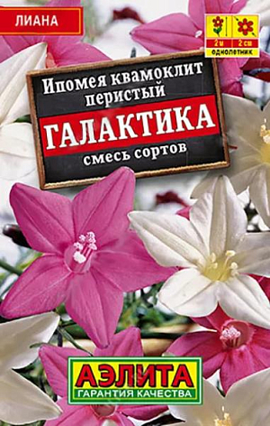 Семена Ипомея Квамоклит Галактика. Необычная лиана с фактурными листьями и цветками-звездочками. Не требует сложного ухода. Используют для быстрого вертикального озеленения.