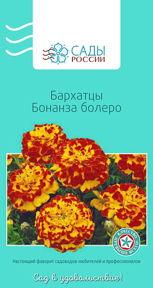 Бархатцы африканские Бонанза Болеро


Бархатцы отклоненные, или французские. Серия Бонанза – одна из самых популярных. Особенно ценится выравненностью растений, ранним и обильным цветением, крупными, диаметром до 7 см, густомахровыми соцветиями с лепестками насыщенных золотисто-желтых и карминно-красных оттенков. Растение теплолюбивое, рассаду высаживают в грунт, когда минует угроза заморозков.