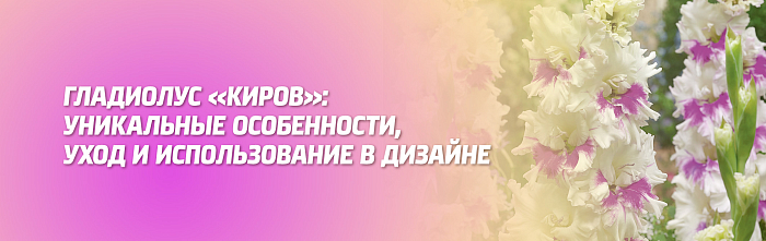 ГЛАДИОЛУС 'КИРОВ': УНИКАЛЬНЫЕ ОСОБЕННОСТИ, УХОД И ИСПОЛЬЗОВАНИЕ В ДИЗАЙНЕ.