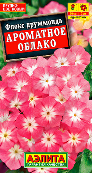 Семена Флокс крупноцветковый Ароматное облако. Обильно цветущий летник с чарующим ароматом. Крупные цветки  диаметром 3 см. собраны в большие, плотные соцветия и не выгорают на солнце. Кустики ветвистые, высотой 40-50 см, устойчивые к неблагоприятным погодным условиям. Цветение раннее и длительное, до устойчивых осенних заморозков. Сорт рекомендуется для создания бордюров вдоль дорожек, для окаймления цветников. Отлично подходит для выращивания в садовых контейнерах. Используется для срезки. Может давать самосев.<br>
 <br>
 Семена располагают по поверхности субстрата, увлажняют из распылителя и закрывают стеклом до появления всходов. Семена прорастают на свету! С появлением первой пары настоящих листочков сеянцы пикируют. Растения холодостойкие. Хорошо растут и цветут на рыхлых, плодородных почвах нейтральной кислотности. Не любит затемнения.<br>