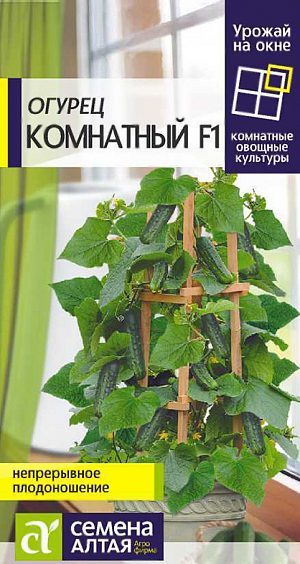 Семена Огурец Комнатный