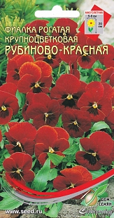 Фиалка Рубиново-красная рогатая