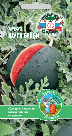 Арбуз Шуга Бейби