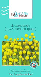 Семена Цефалофора (земляничная трава)