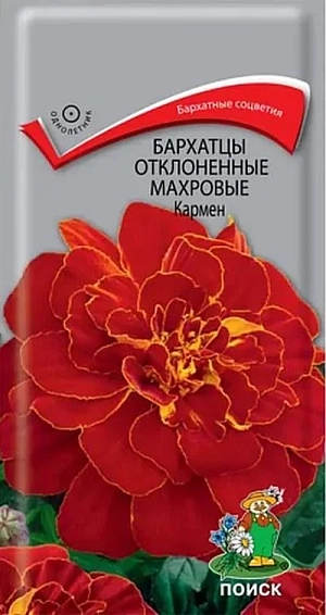 Бархатные соцветия. Куст компактный высотой до 30 см, густооблиственный. Соцветия гвоздиковидные, диаметром 5 см, язычковые цветки коричнево-красные с желтым пятном у основания. Цветёт с июня по сентябрь. Используют для клумб, рабаток, бордюров и создания декоративных пятен.Агротехника. Растение светолюбивое, засухоустойчивое. Предпочитает плодородные и солнечные места (может расти при небольшом затенении). Размножают посевом семян в марте-апреле.Глубина заделки семян 0,5-1 см. При температуре почвы +18°С всходы появляются через 7-15 дней. Сеянцы содержат при умеренной температуре, пикируют в фазе 2-х настоящих листьев.Высаживают в открытый грунт в конце мая - начале июня (когда минует угроза поздневесенних заморозков). Расстояние между растениями при посадке 25-30см.Семена соответствуют требованиям международных стандартов и ГОСТу РФ 12260-81