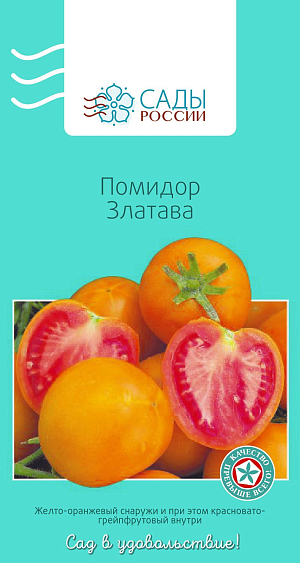 Семена Томат Златава