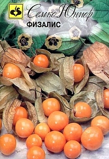 Физалис Сюрприз