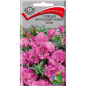 Великолепные махровый нежно-лиловые цветы! Растение высотой около 40 см. Крупные цветы с волнистыми краями, полумахровые. Цветет обильно с июля по октябрь. Используют для переднего края бордюров, рабаток, клумб.

Агротехника. Растение холодостойкое. Предпочитает солнечные места, переносит полутень, хорошо растет на плодородных, достаточно влажных почвах. Посев семян производят в апреле-мае в открытый грунт. Глубина заделки семян 0,5 см. При температуре +20°С всходы появляются на 7-14 день. При площади питания 20x40 см получаются раскидистые, шарообразные кустики, обильно покрытые цветами.

Семена соответствуют требованиям международных стандартов и ГОСТу РФ 12260-81