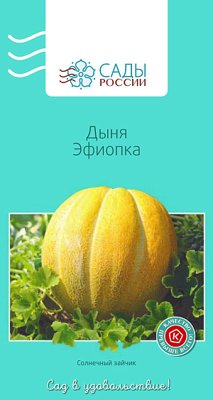 Дыня Эфиопка 6шт