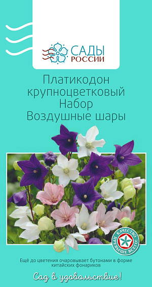 Платикодон Воздушные шары набор

Представитель родного российского разнотравья. Цветки миловидные ширококолокольчатые с пятью широкими сросшимися лепестками, образующими пятиконечную звездочку до 8–10 см в диаметре. Неприхотливый и выносливый. Перед посевом поместить семена в тканевый мешочек, опустить в емкость с водой на двое суток, затем убрать в холодильник на 12 часов. Пикировку проводят после образования третьей пары листьев. Ежедневный полив после высадки в грунт в течение первых двух недель. Зимует без укрытия.