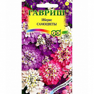 Иберис Самоцветы
