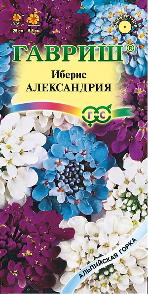 Семена Иберис Александрия<br>
 <br>
 Однолетние низкорослые растения высотой  25 см, за короткий срок разрастаются и образуют шапки ароматных зонтиковидных соцветий (диаметром 5-6 см) разнообразных окрасок, преимущественно  фиолетовых и голубых тонов. Неприхотлив, зимостоек, предпочитает дренированные легкие  суглинистые почвы на хорошо освещенных местах. Рекомендуется для бордюрных обсадок, миксбордеров, рокариев, оформления края садовых дорожек.<br>