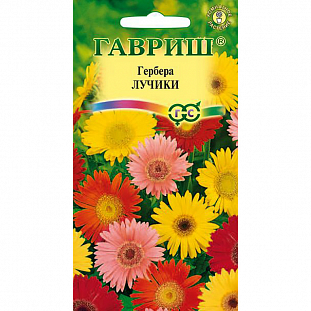 Семена Гербера Лучики