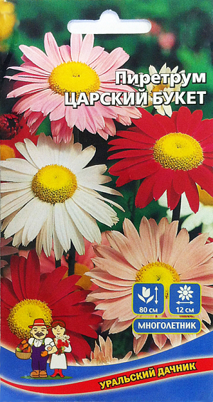 Семена Пиретрум Царский Букет.
Многолетнее, красочное растение с изящными, ажурными листьями. Крупные, нежные и романтичные, интенсивно розовые, ярко-красные и белые ромашковидные соцветия на длинных крепких стеблях, наиболее привлекательно смотрятся группами на газоне, в миксбордерах. Отлично подходит на срезку.

Посев на рассаду в марте-апреле. Семена размещают на поверхности, слегка углубив в почву. Емкости с рассадой устанавливают в светлое место, поскольку семенам для прорастания необходим свет. После появления двух настоящих листьев сеянцы пикируют. В конце мая – начале июня рассаду высаживают на постоянное место, на расстояние 40-50 см. Для продолжительного и обильного цветения растениям необходим своевременный полив, регулярная прополка, рыхление и подкормка минеральными удобрениями.
