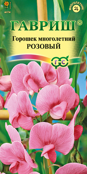 Семена Горошек многолетний Розовый.<br>
 <br>
  Душистый горошек, или чина душистая, относится к роду Чина, семейству Бобовые. Стебли тонкие, слабые, высотой до 2 м., нуждаются в опоре. Цветки крупные, ярко-розовые, собраны в изящные кисти по 3-12. Цветет душистый горошек обильно и продолжительно начиная с июля. Если своевременно обрезать засыхающие соцветия, растения будут цвести до заморозков. Растение предпочитает легкие, хорошо обработанные почвы и солнечные места. Отрицательно реагируют на резкие перепады дневных и ночных температур. Размножают семенами и делением куста. Используют для вертикального озеленения, в групповой посадке на газонах, на срезку для маленьких букетиков.<br>