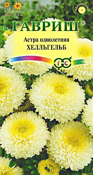 Семена Астра Хелльгельб светло желтая<br>
 <br>
 Помпонная. Куст пирамидальной формы высотой 60 см. Соцветия светло-желтой окраски, 10-12 см в диаметре. Для выращивания подходят хорошо освещенные участки с плодородной суглинистой или супесчаной почвой. Астры обладают высокой холодостойкостью – хорошо переносят заморозки до -3-4оС. Выращивают, чаще всего, рассадным способом. Используются  для получения срезки и оформления участка.<br>