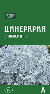 Семена Цинерария приморская Сильвер даст