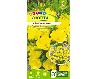 Семена Энотера ламарка Королева ночи