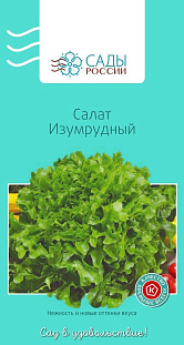 Семена Салат Изумрудный