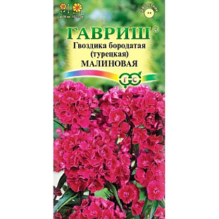 Гвоздика бородатая (турецкая) Малиновая Гвоздика бородатая (турецкая) Малиновая