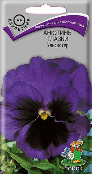 Семена Анютины глазки Ульсвотер<br>
 <br>
 Группа Швейцарские гиганты. Растение с быстрым ростом, красиво и обильно облиственное, с исполинскими цветками, сидящими на короткой и твердой цветоножке. Цветки 4,5-5 см в диаметре, верхние лепестки темно-синие, на 3-х нижних - пятна у основания лепестков. Высота растения 15 см. Используют для клумб и бордюров, в цветники - группами.<br>