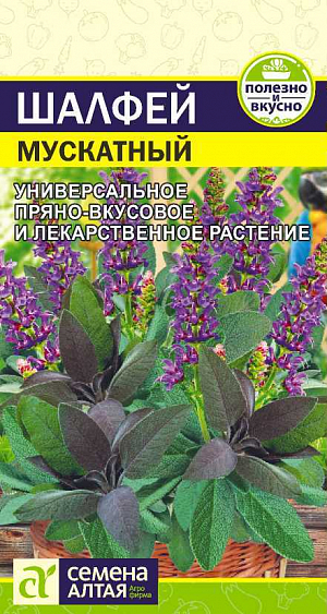 Шалфей Мускатный