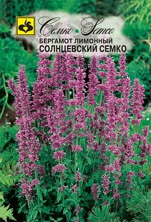 Семена Монарда лимонная (Бергамот) Солнцевский Семко