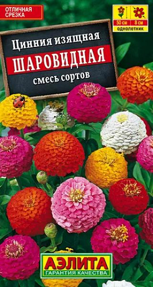 Семена Цинния Шаровидная смесь окрасок.
Смесь окрасок обильноцветущей циннии с густомахровыми соцветиями диаметром 6-8 см. Кусты быстрорастущие, мощные, ветвистые, высотой до 50 см. Цветение раннее и продолжительное, с начала лета и до первых заморозков. Растения теплолюбивые, засухоустойчивые, предпочитают солнечное местоположение. Хорошо переносят воздействие дождя и ветра. Используются в групповых и одиночных посадках в цветниках. Отлично подходят для срезки, цветы долго стоят в воде. Агротехника. Выращивают рассадным способом. С развитием первой пары настоящих листочков сеянцы пикируют. В фазе 5-6 листьев проводят формирующую прищипку. Рассаду высаживают в открытый грунт, когда минует опасность заморозков. Растениям необходимы регулярные поливы, прополки, рыхления и подкормки. Возможен посев семян в открытый грунт на глубину1 см.