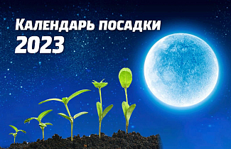 Календарь посадки 2023: лунный календарь рассады