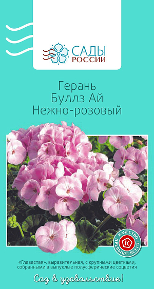 Герань Буллз ай Нежно-розовый

Вас впечатлит цветение этой серии. Это, пожалуй, самые крупные соцветия, которые вам довелось видеть. Шаровидные и плотные, они достигают в диаметре 16 см! Листва шоколадного цвета со светло-зеленой каймой. Легко выращивается и долго цветет. Благодаря коротким цветоносам устойчива к ветру и дождям.