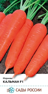 Семена Морковь Кальман F1