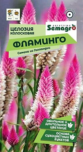 Целозия колосковая Фламинго