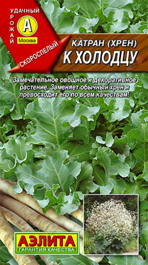 Катран (хрен) к Холодцу