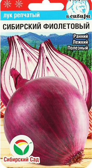 Семена Лук репчатый Сибирский фиолетовый