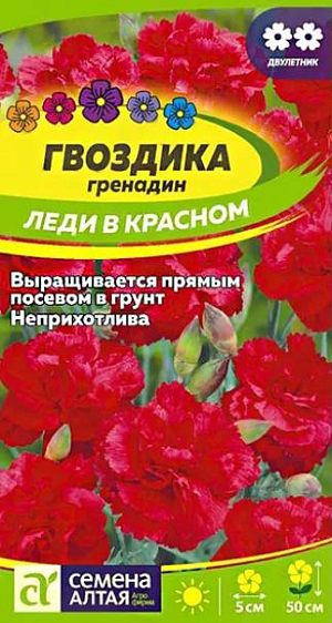 Семена Гвоздика гренадин "Леди в красном".<br>
Популярное двулетнее травянистое растение. Формирует хорошо развитые кустики до 50 см высотой. Стебли прямые тонкие коленчатые, облиственные. Листья прикорневые узколинейные, собраны в основании куста в розетку. Стебли и листья покрыты серебристо-сизым налетом. Цветки шарлахово-красной окраски махровые с тонким ароматом, до 5 см в диаметре, расположены на концах побегов. Используют для всех видов цветников и качественной срезки, в воде долго сохраняет декоративность. Неприхотливое, холодостойкое растение, предпочитает солнечные участки с легкой плодородной некислой почвой. Посев семян проводят в конце мая-начале июня на разводочные гряды на глубину 0,5-1 см. Сеянцы в фазе 2-3 настоящих листьев продергивают или пикируют с интервалом 10 см. В августе их пересаживают на постоянное место с интервалом 20-30 см. В первый год растение формирует розетку листьев. На зиму молодые растения желательно укрыть лапником. Цветение наступает на второй год и длится с июля по август.