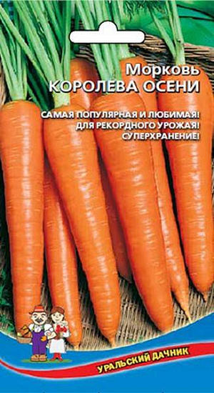 Семена Морковь Королева Осени