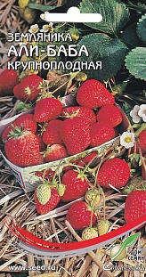 Земляника Али-Баба крупноплодная