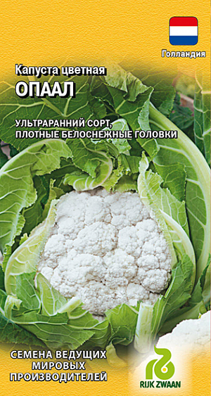 Семена Капуста цветная Опаал