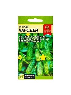 Семена Огурец Чародей F1