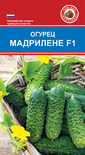 Семена Огурец Мадрилене F1