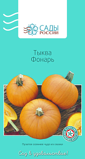 Семена Тыква Фонарь F1